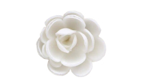 Розы сложные белые большие d=5см